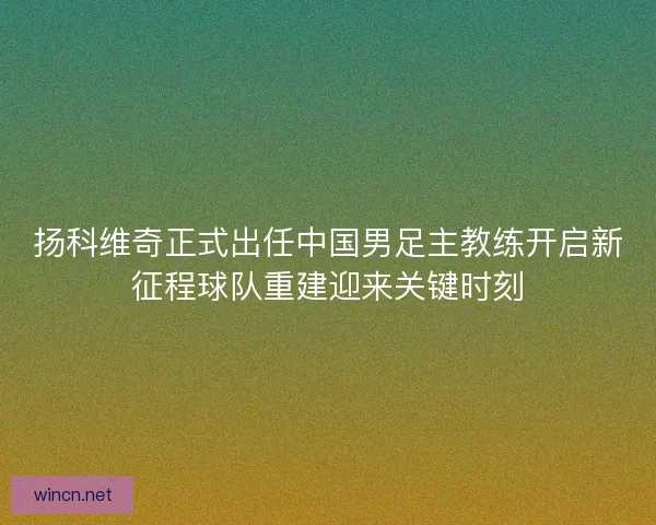 扬科维奇正式出任中国男足主教练开启新征程球队重建迎来关键时刻