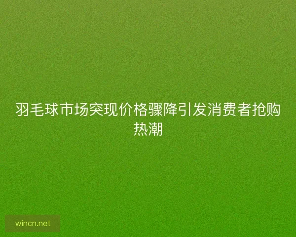 羽毛球市场突现价格骤降引发消费者抢购热潮