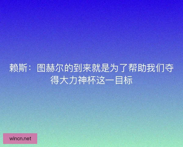 赖斯：图赫尔的到来就是为了帮助我们夺得大力神杯这一目标