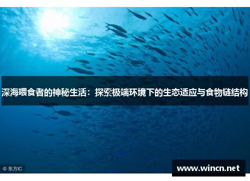 深海喂食者的神秘生活：探索极端环境下的生态适应与食物链结构